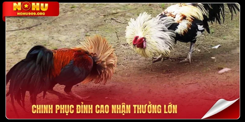 Chinh phục đỉnh cao nhận thưởng lớn