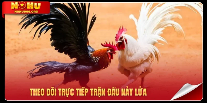 Theo dõi trực tiếp trận đấu nảy lửa